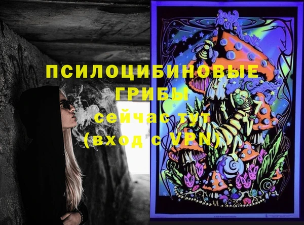 сатива Семилуки